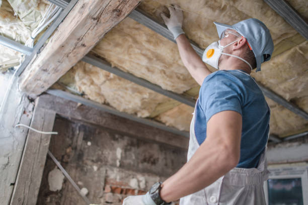 Best Specialized Insulation Services in Dunean, SC