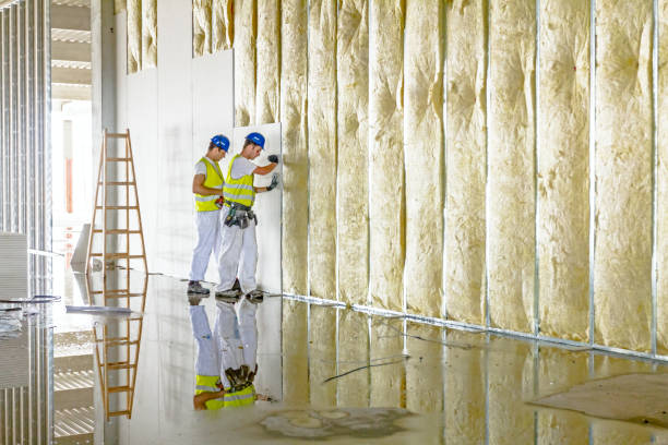 Types of Insulation We Offer in Dunean, SC